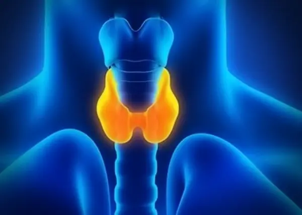 갑상선기능 혈액검사 