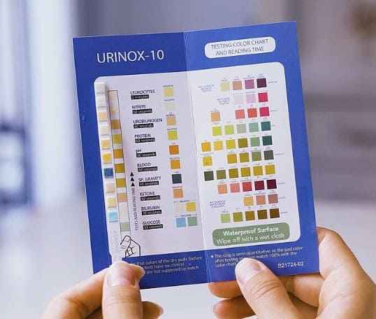 케톤뇨 질병 구분법 정상수치와 위험 신호 총정리 1 케톤뇨 질병 구분법