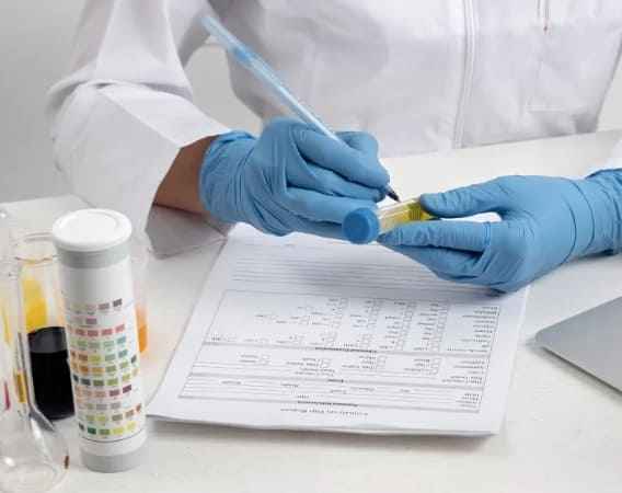 요로감염 검사, NIT · LEU · WBC · Bacteria 결과지 해석 정리 1 요로감염 검사