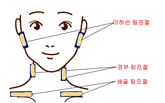 임파선염 증상과 원인 부위 - 찬란한 잡스러움
