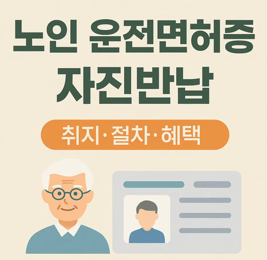 운전면허 반납