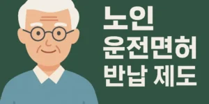 운전면허 반납