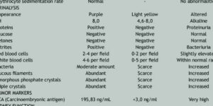 소변검사 결과지