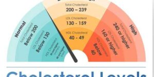 중성지방 콜레스테롤 관계