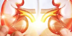 크레아티닌 수치