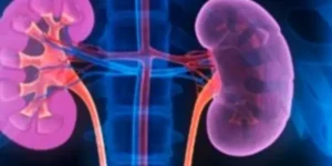 신장기능검사 항목