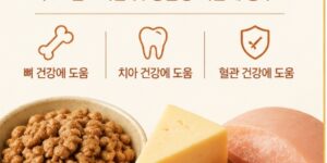비타민K2 효능