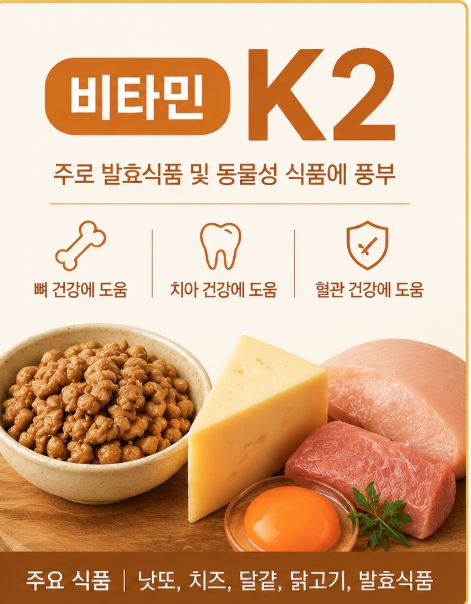 비타민K2 효능 5가지와 부족증상 1 비타민K2 효능