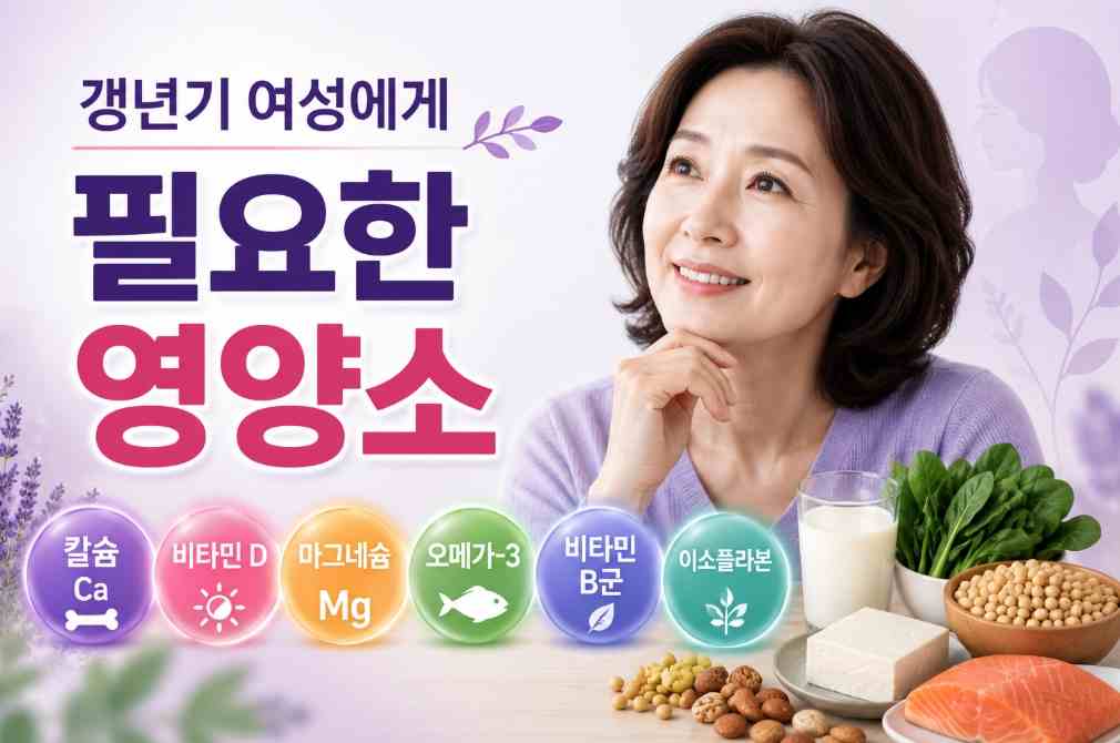 갱년기 여성에게 필요한 영양소 대표적 6가지 총정리 1 갱년기 여성에게 필요한 영양소