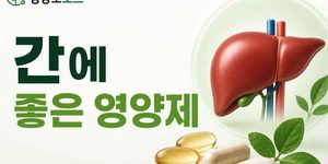 간에 좋은 영양제