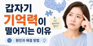 기억력 저하 원인