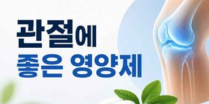 관절에 좋은 영양제
