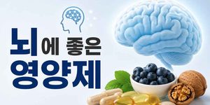 뇌에 좋은 영양제