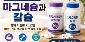 마그네슘과 칼슘