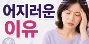 어지러운 이유