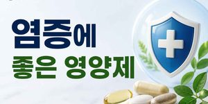 염증에 좋은 영양제