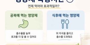 공복영양제 식후영양제