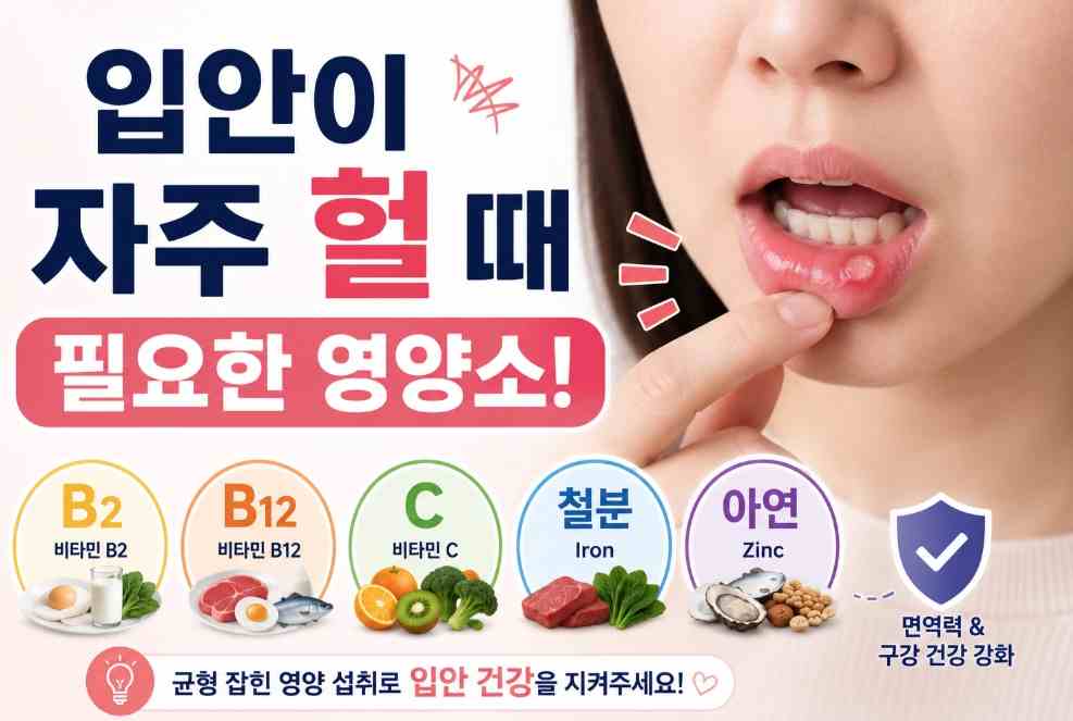 입안이 허는 이유