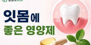 잇몸에 좋은 영양제
