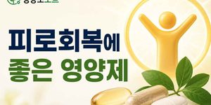 피로회복에 좋은 영양제