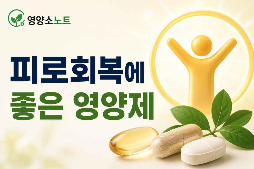 피로회복에 좋은 영양제