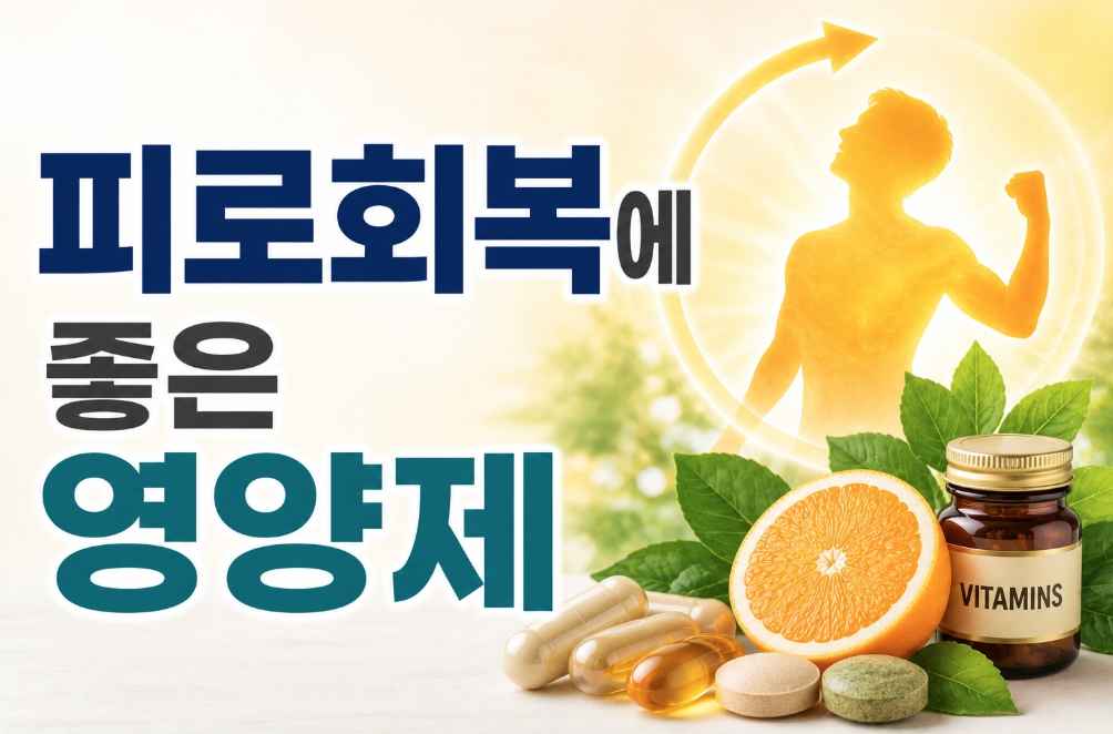 피로회복에 좋은 영양제
