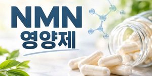 NMN 영양제