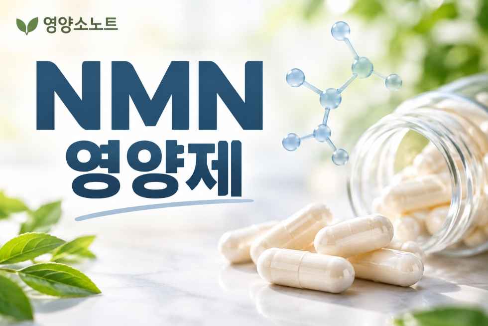 NMN 영양제 고르는 법 5가지 및 복용법 1 NMN 영양제