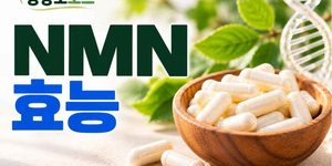 NMN 효능