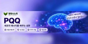 PQQ 영양제 효능