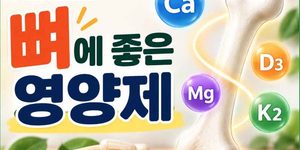 뼈에 좋은 영양제
