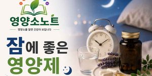 수면에 좋은 영양제