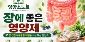 장에 좋은 영양제