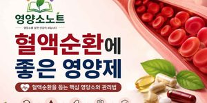 혈액순환에 좋은 영양제