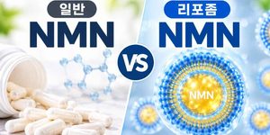 일반 NMN과 리포좀 NMN