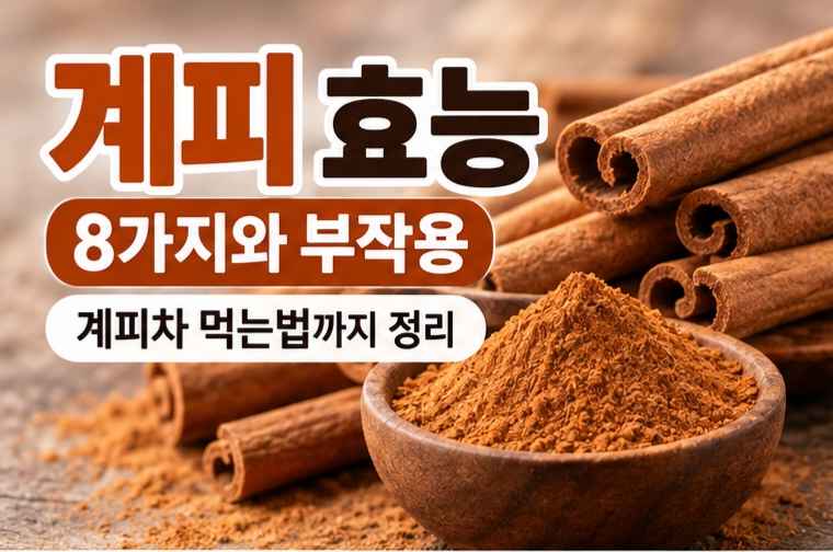 계피 효능