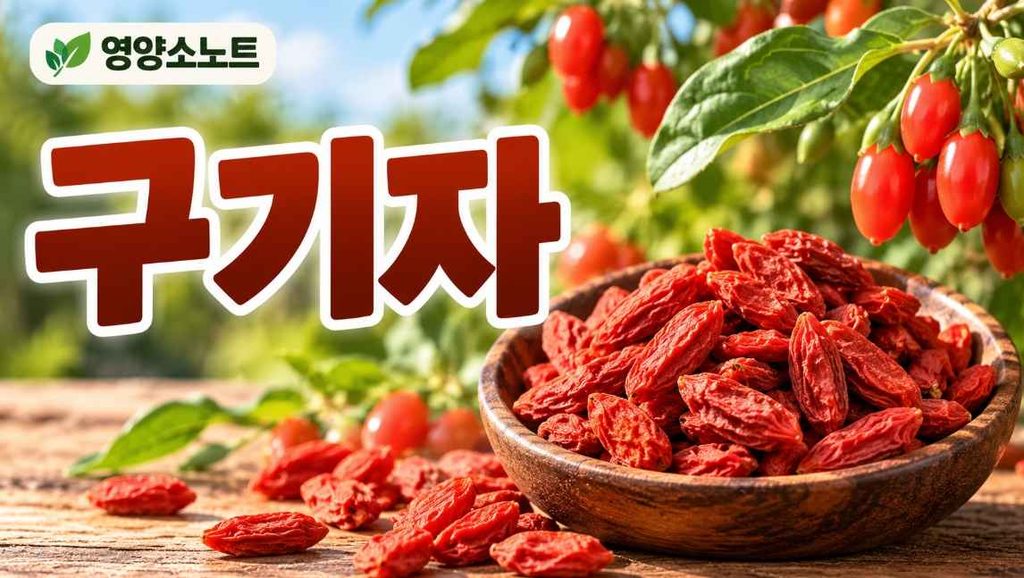 구기자 효능