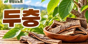 두충 효능