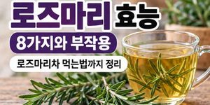 로즈마리 효능