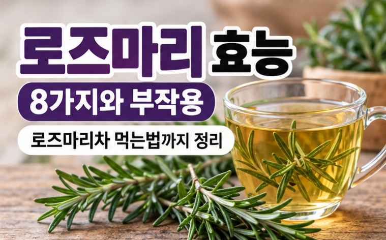 로즈마리 효능