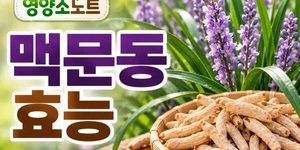 맥문동 효능
