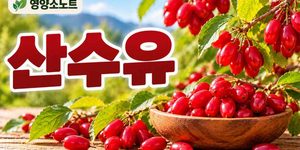 산수유 효능