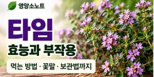 타임 효능