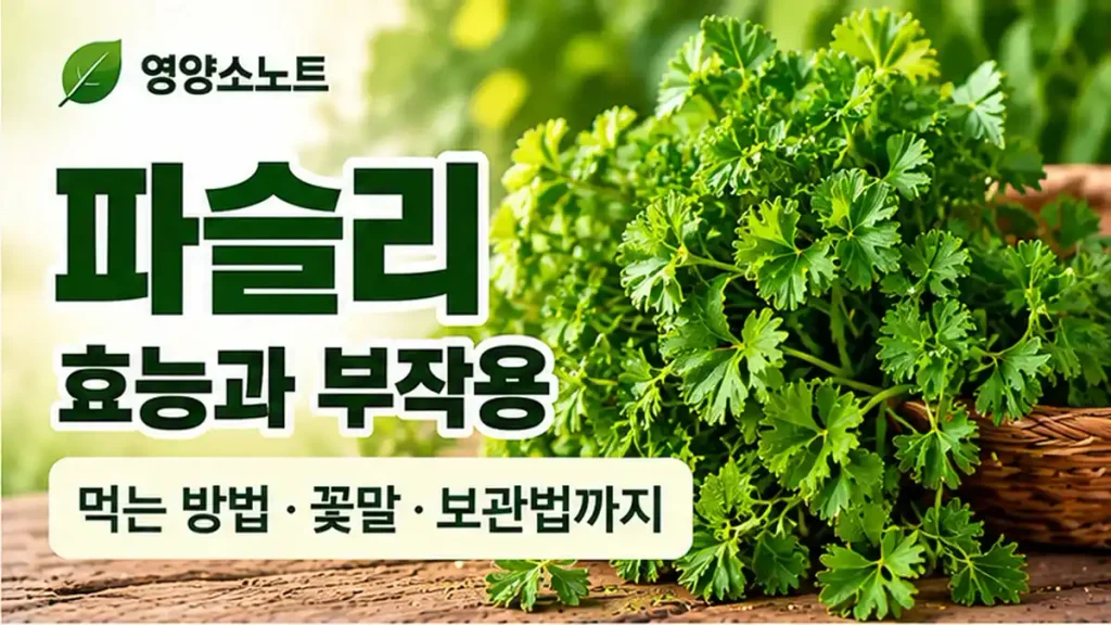 파슬리 효능