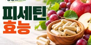 피세틴 효능